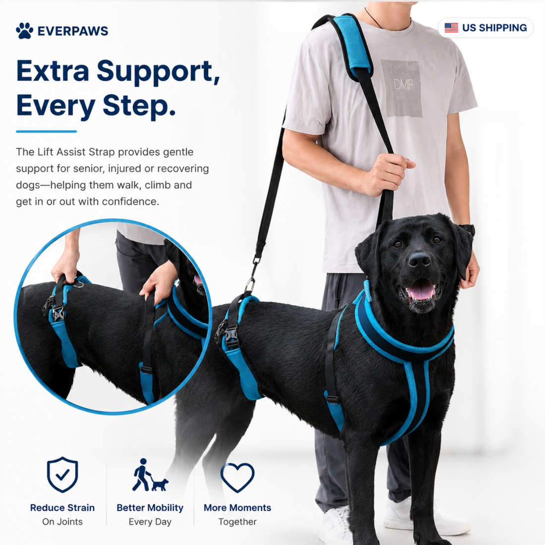 ACL Recovery for Dogs: A Complete Guide to Recovery After Cruciate Ligament Surgery
