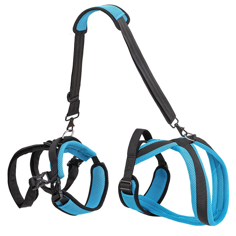 EverPaws™  Lift, Support & Restore Your Dog's Mobility