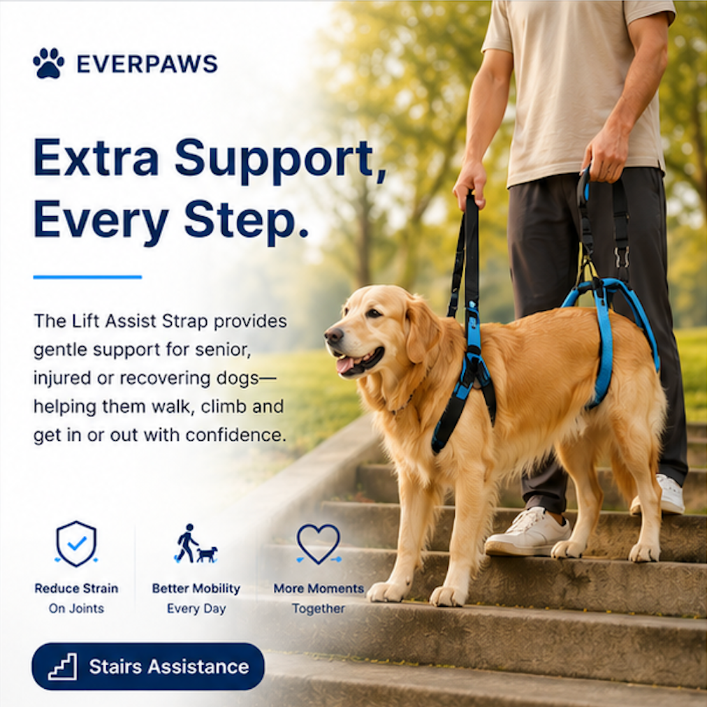 EverPaws™  Lift, Support & Restore Your Dog's Mobility