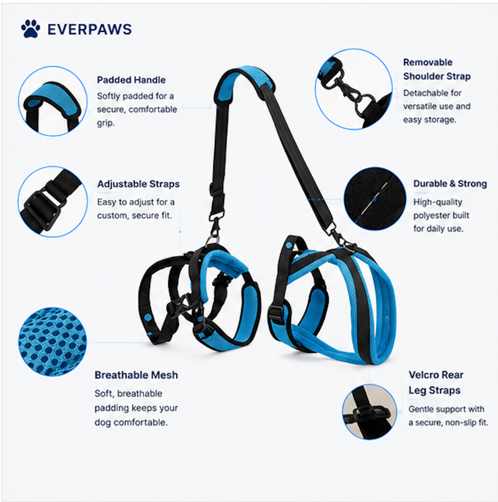 EverPaws™  Lift, Support & Restore Your Dog's Mobility
