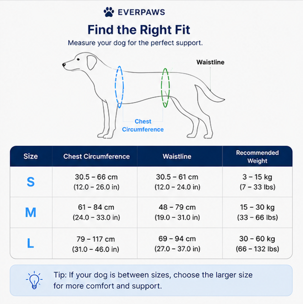 EverPaws™  Lift, Support & Restore Your Dog's Mobility