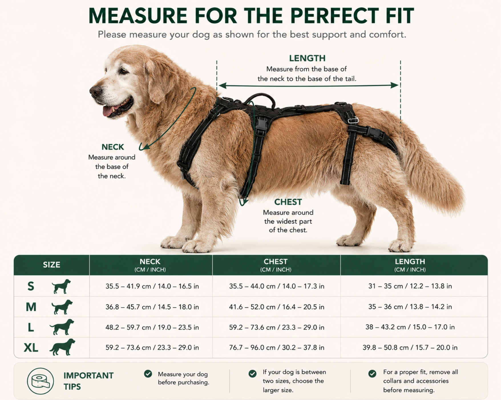 EverPaws™ Dog Lift Sling | Rear Leg Support for Recovery & Mobility